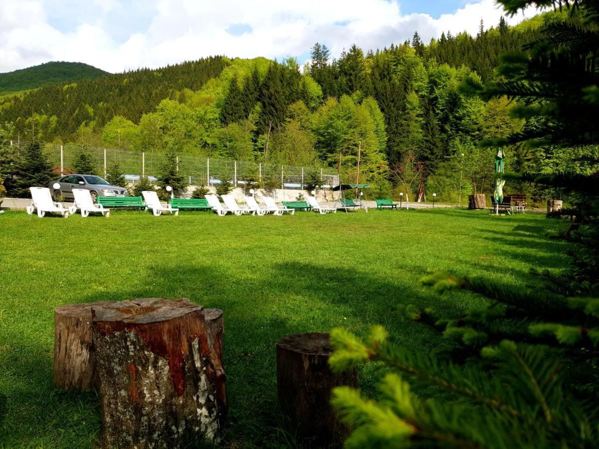 Pensiunea Valea Negrasului Trăisteni 외부 사진