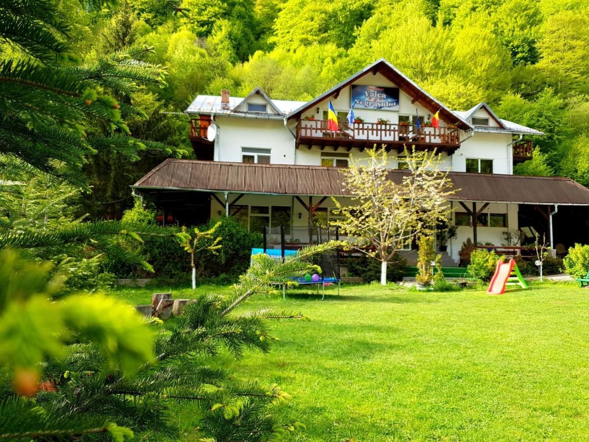 Pensiunea Valea Negrasului Trăisteni 외부 사진